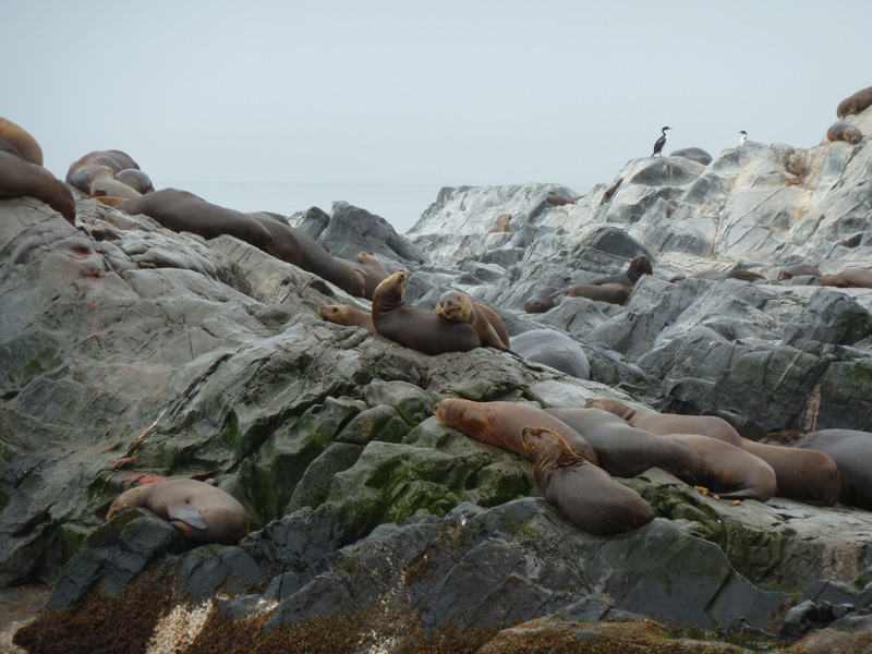 /photos/2011/02/P1010883.jpg /photos/2011/02/P1010883.jpg